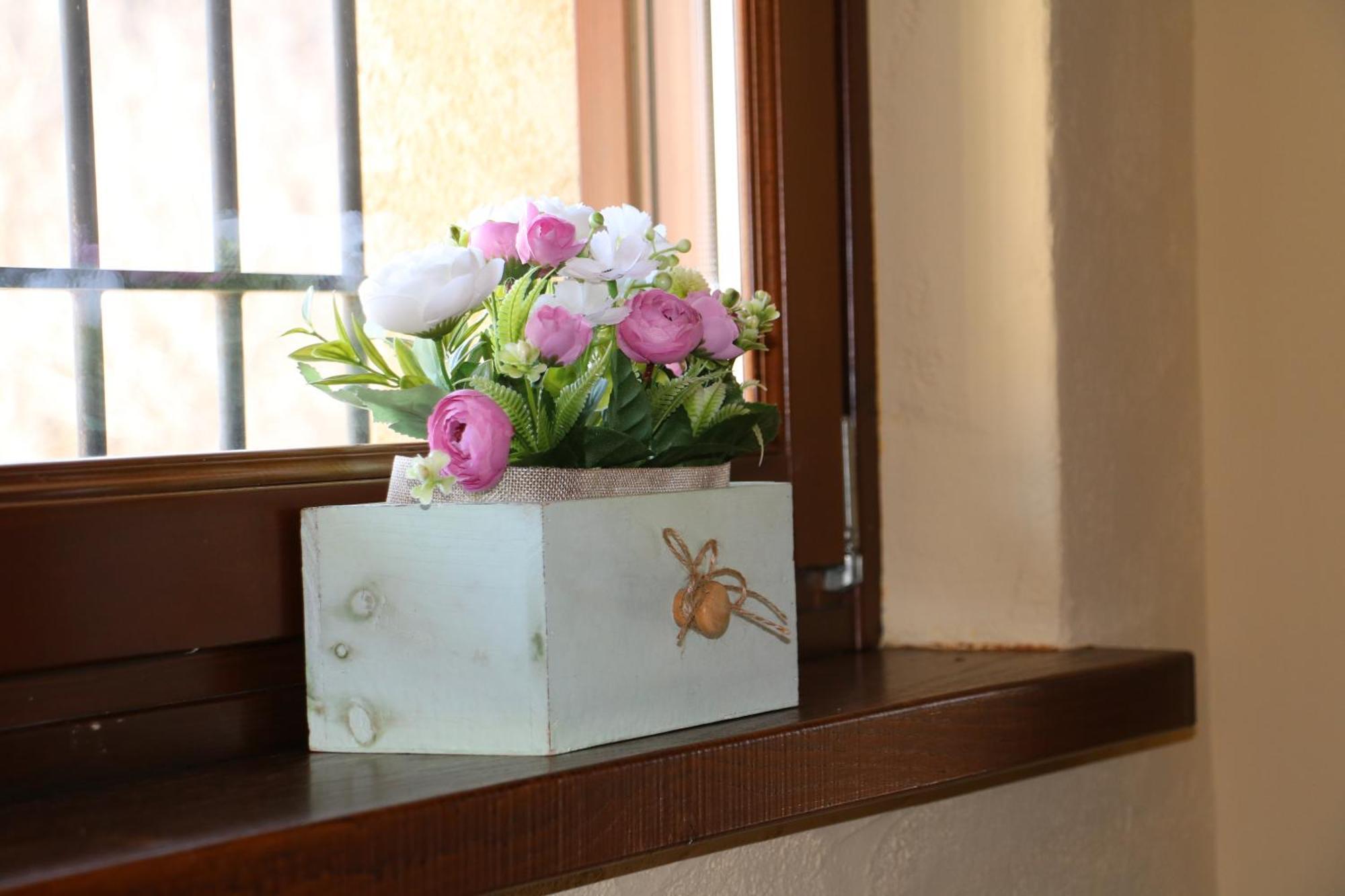 Casa Vacanze Le Primule Peveragno ภายนอก รูปภาพ