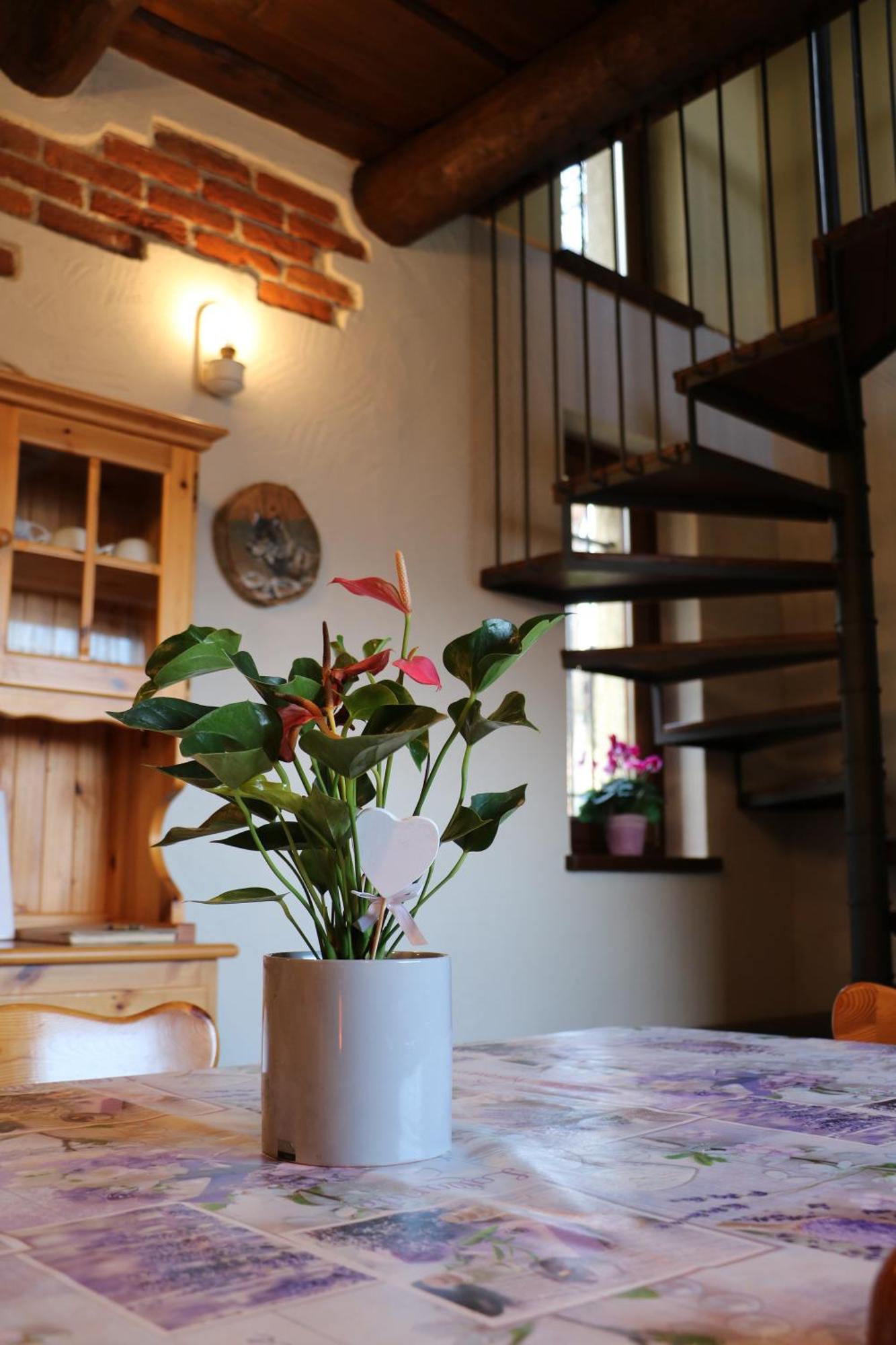 Casa Vacanze Le Primule Peveragno ภายนอก รูปภาพ