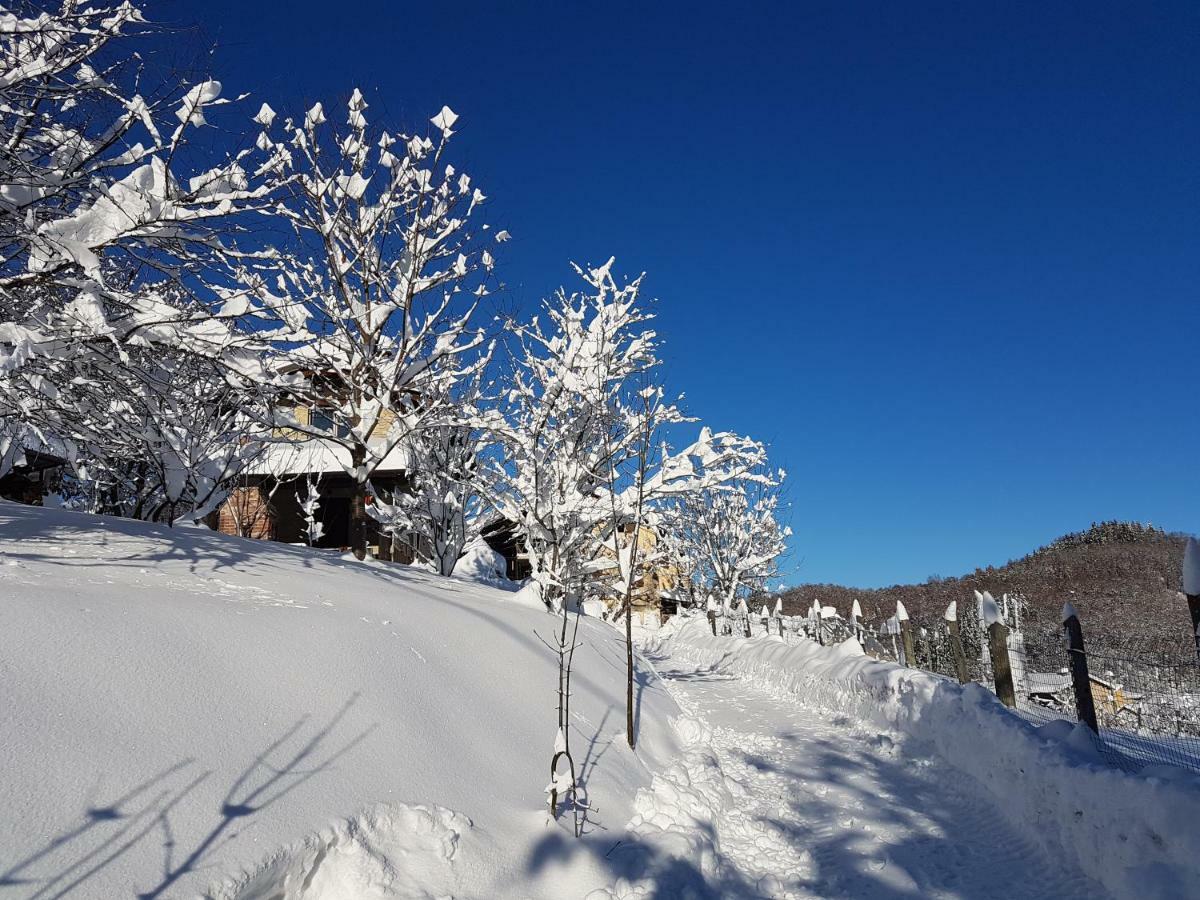 Casa Vacanze Le Primule Peveragno ภายนอก รูปภาพ