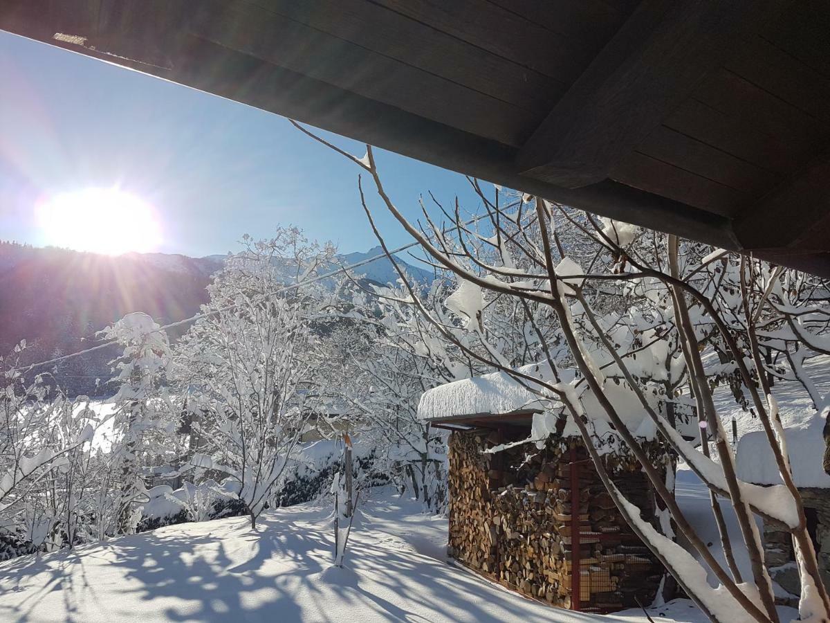 Casa Vacanze Le Primule Peveragno ภายนอก รูปภาพ