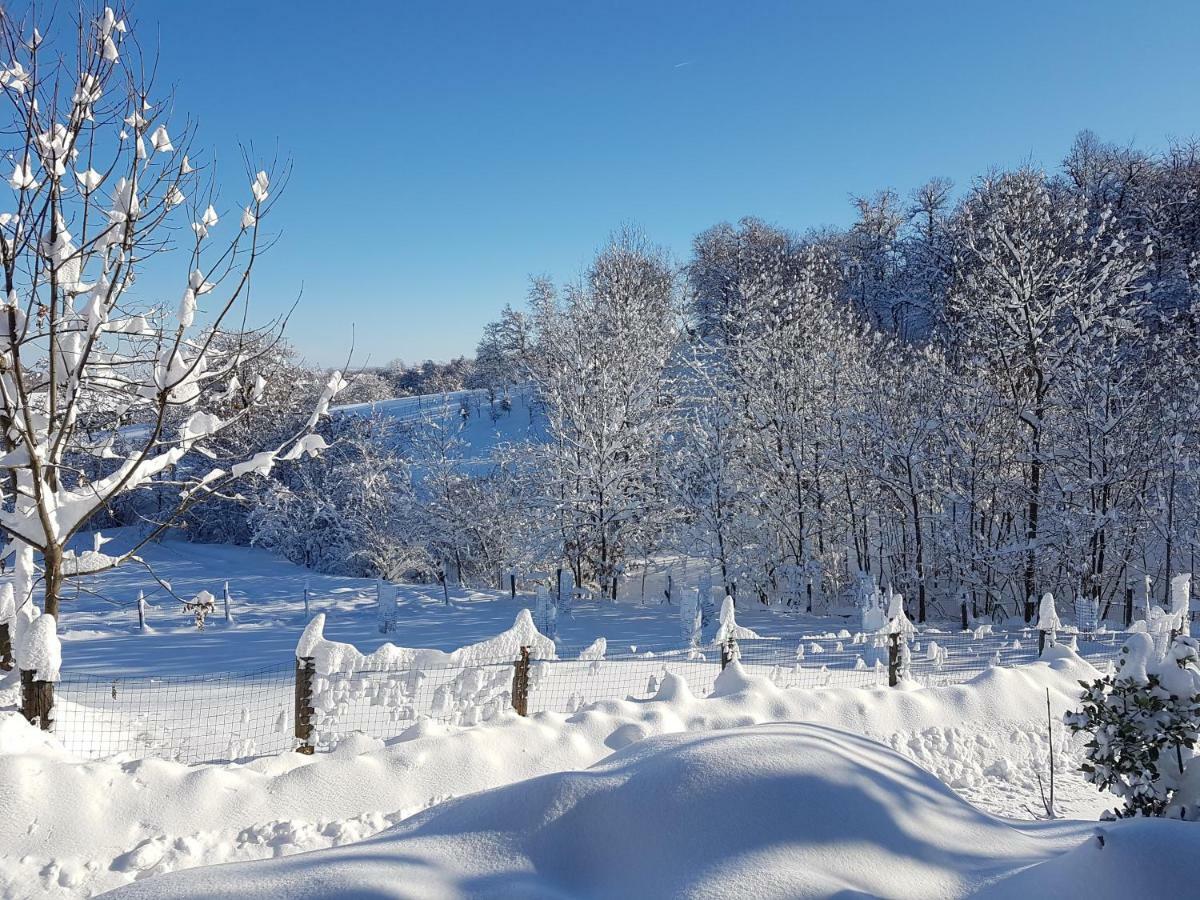 Casa Vacanze Le Primule Peveragno ภายนอก รูปภาพ