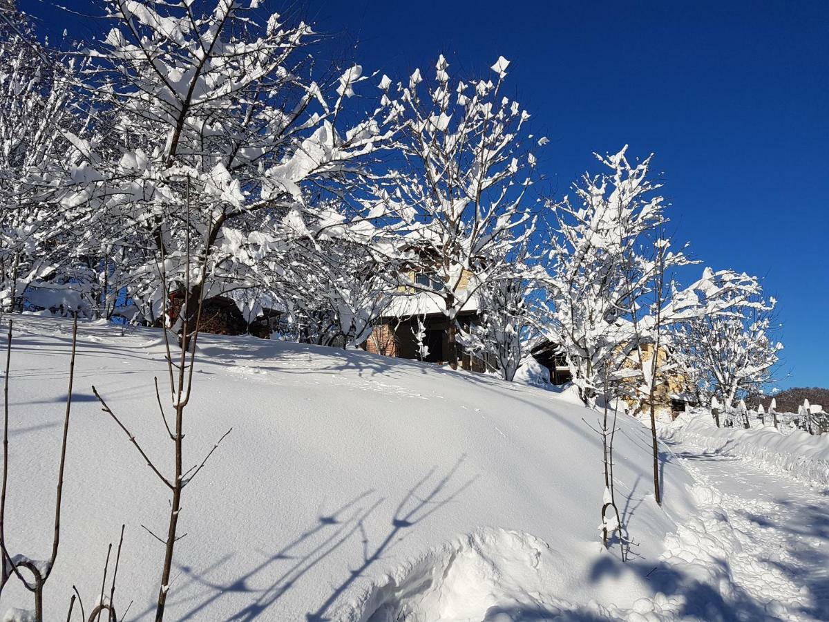 Casa Vacanze Le Primule Peveragno ภายนอก รูปภาพ